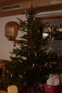 Weihnachtsfeier 2013